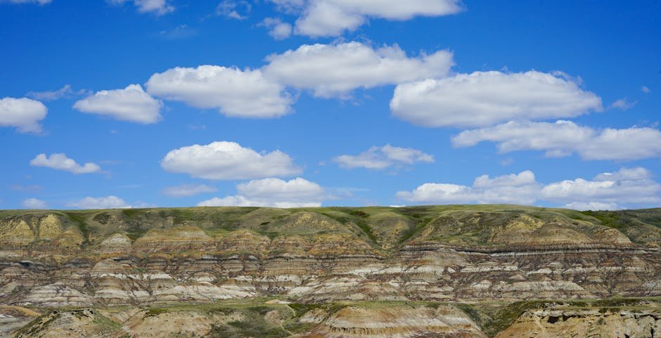 The Future of Fossil Exploration in Alberta (image credits: pexels)