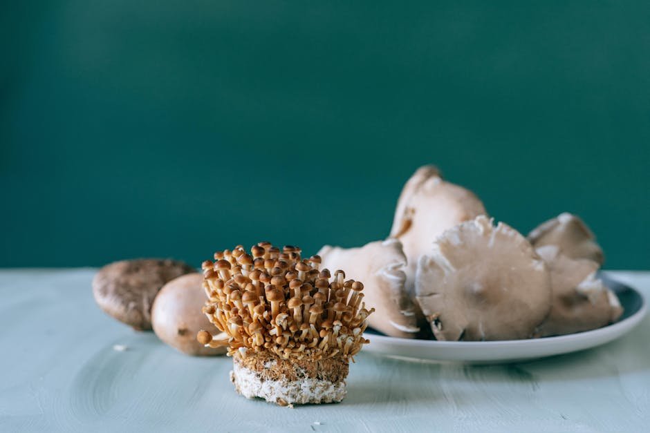Psilocybin and Spiritual Experiences (image credits: pexels)