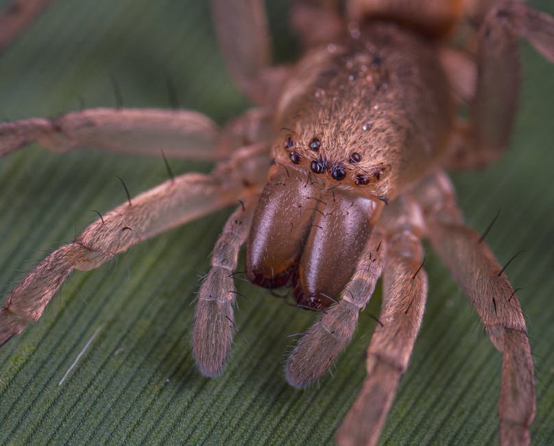 Challenges and Ethical Considerations (image credits: pexels)