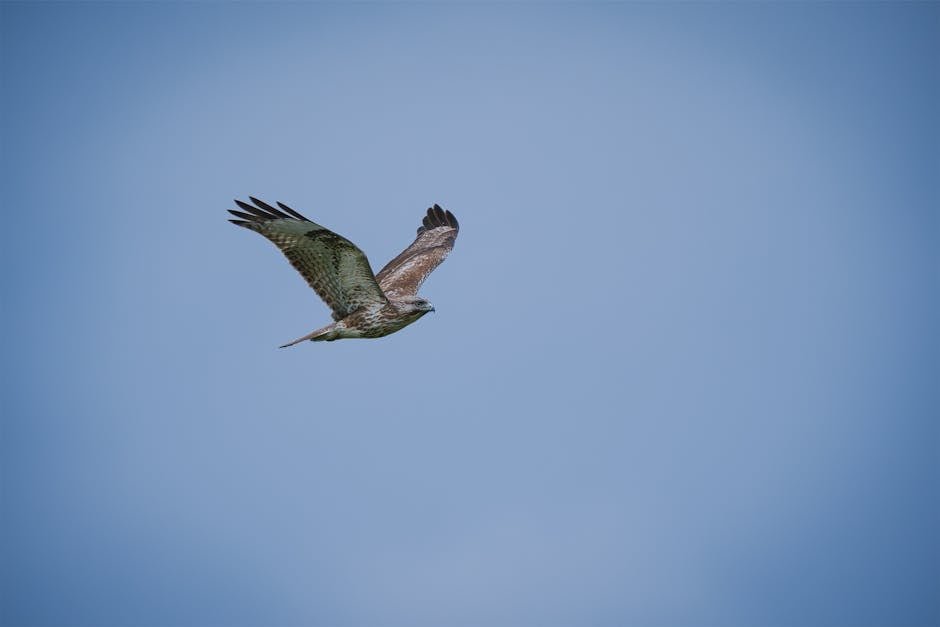 The Moa Connection: A Prey of Enormous Proportions (image credits: pexels)