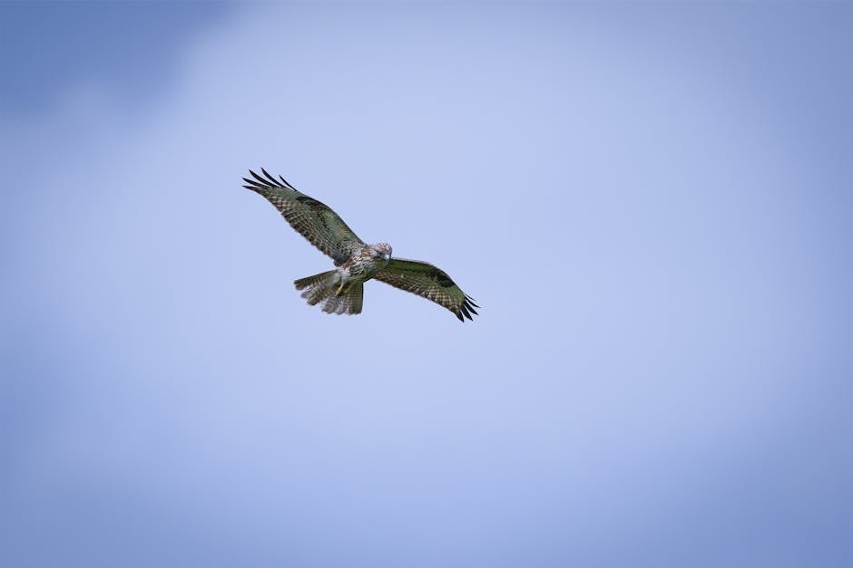 Evidence of Predation: Did They Hunt Humans? (image credits: pexels)