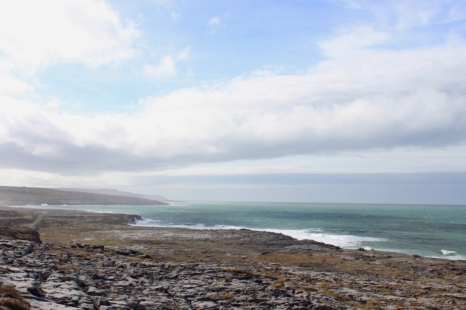 Conservation Efforts: Preserving a Natural Treasure (image credits: wikimedia)