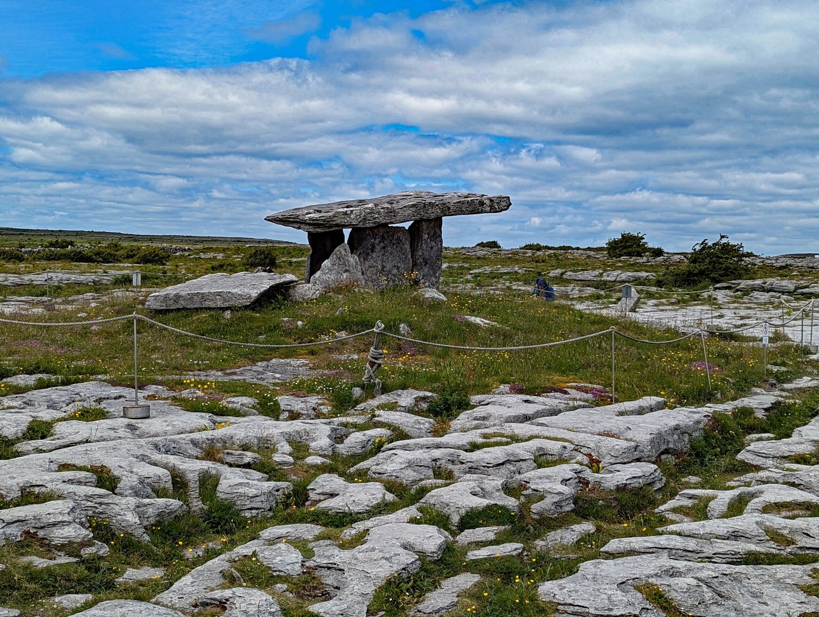 Scientific Research and Discoveries (image credits: wikimedia)