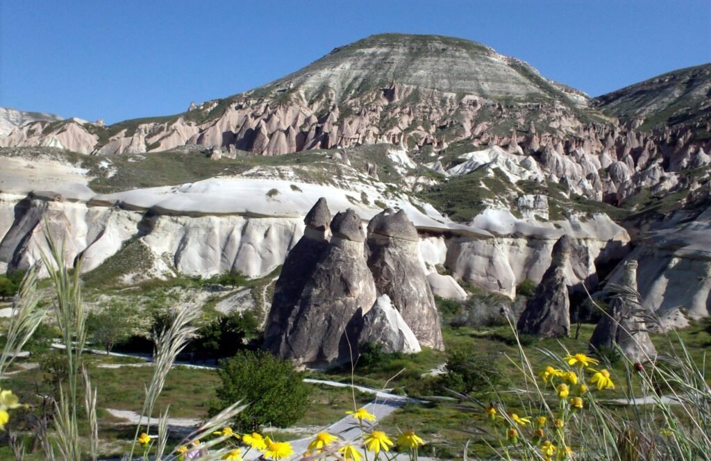 Inspiring Artistic Expression