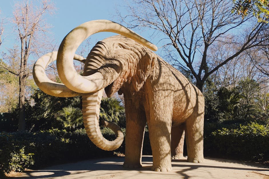 The Magnificent Mammoths (image credits: pexels)