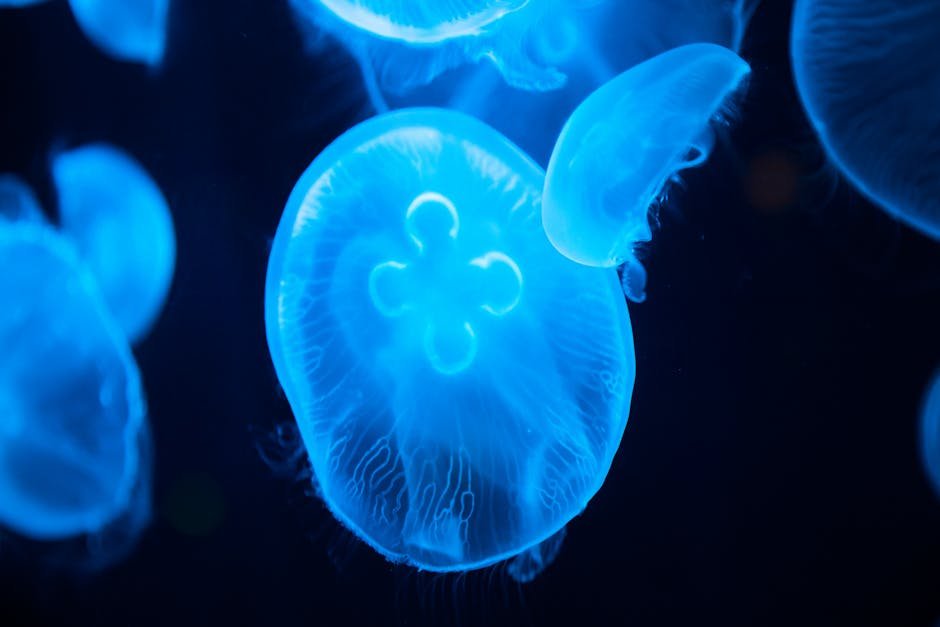 Glow-in-the-Dark Animals: Nature's Neon Lights (image credits: pexels)