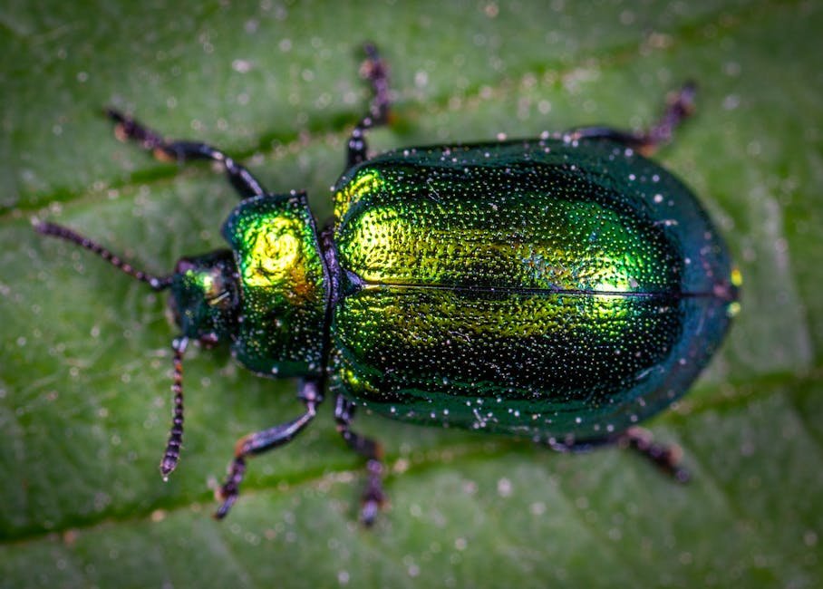 Lessons in Resilience and Adaptability (image credits: pexels)