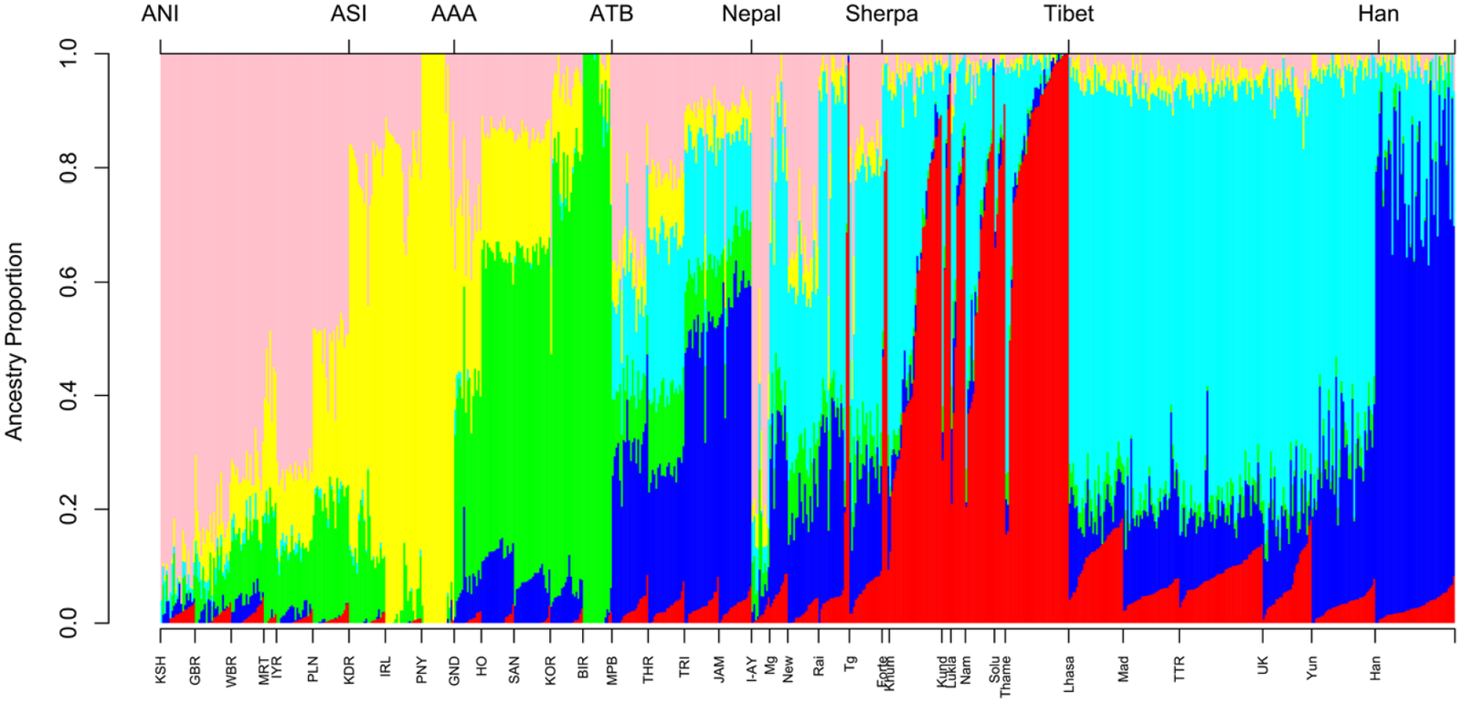 Cardiovascular Efficiency (image credits: wikimedia)
