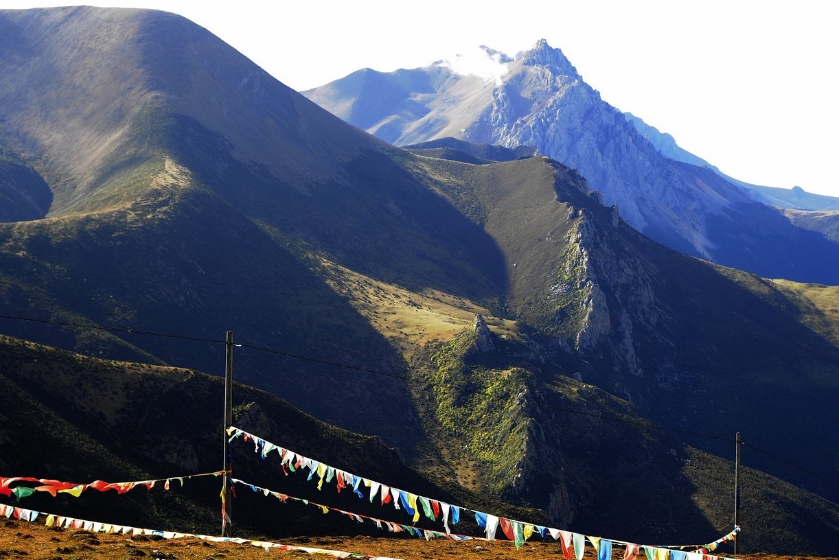 The Broader Implications (image credits: wikimedia)