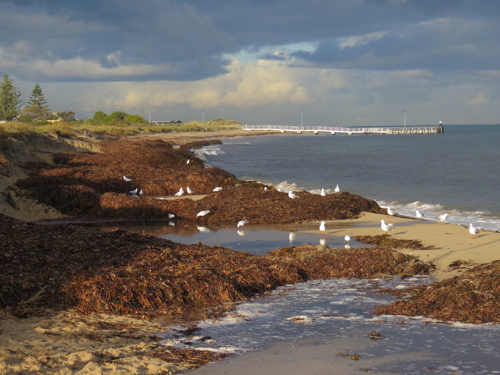 Coastal Erosion: Uncovering Lost Settlements (image credits: wikimedia)