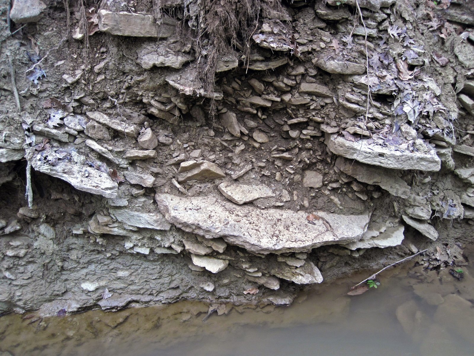 Floodplains Receding: Ancient Paths Reemerging (image credits: wikimedia)