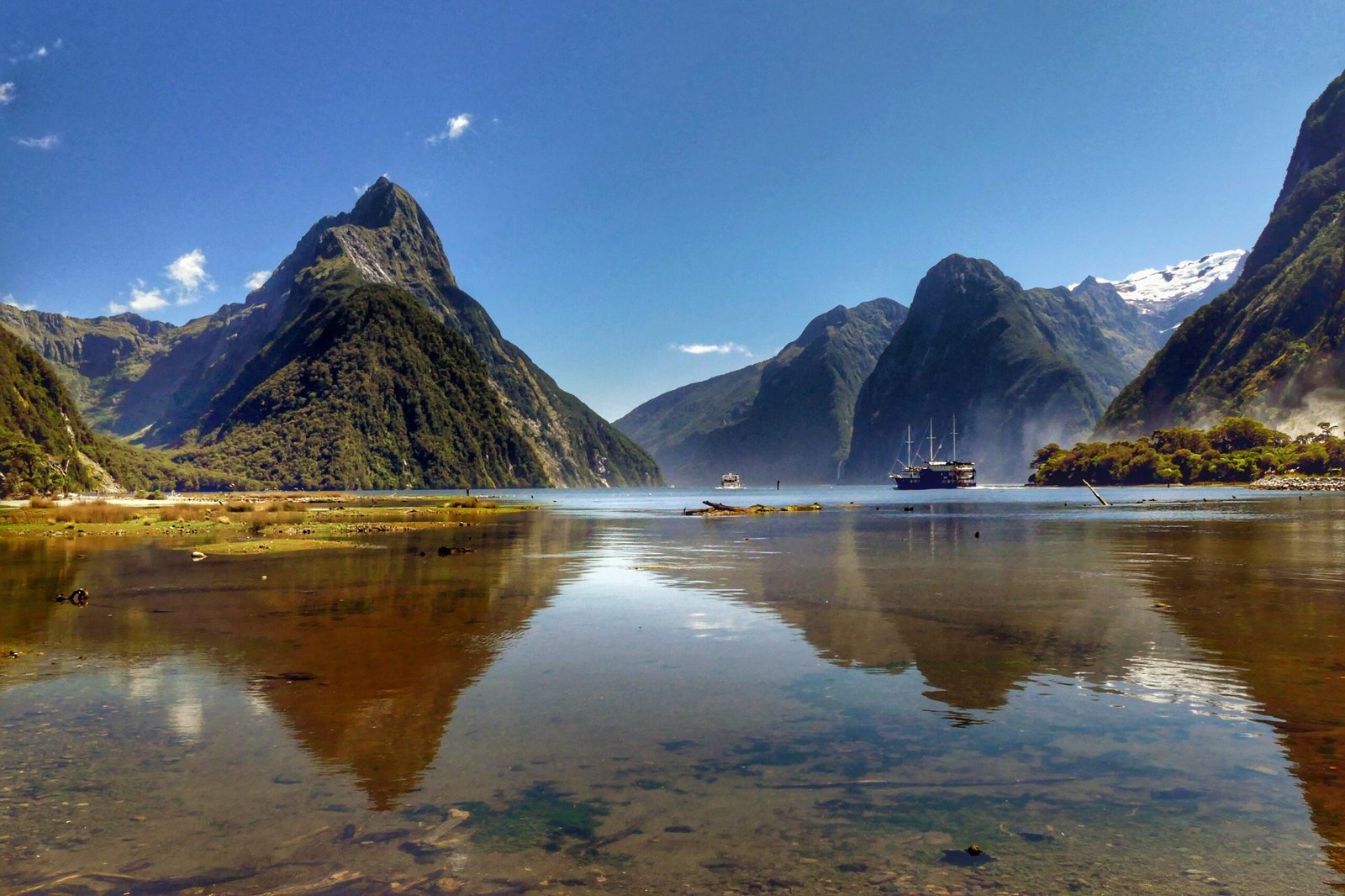 The Geological Isolation of New Zealand (image credits: wikimedia)
