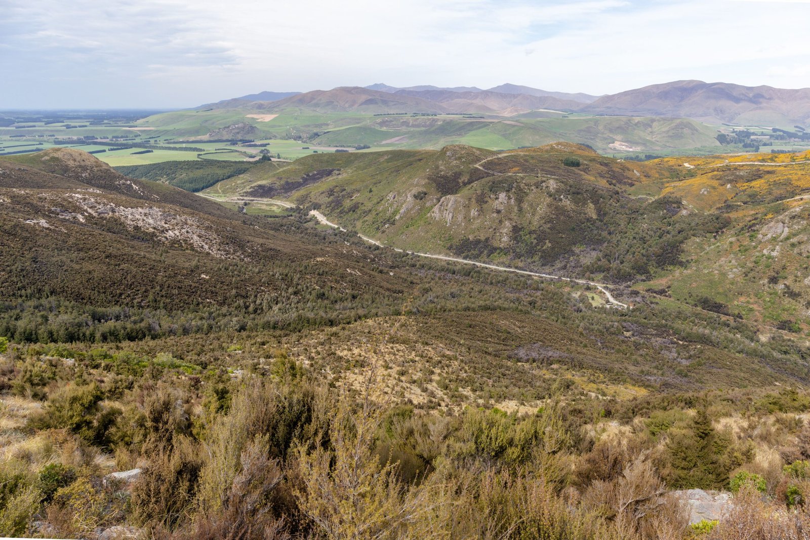 New Zealand's Ongoing Commitment to Conservation (image credits: wikimedia)