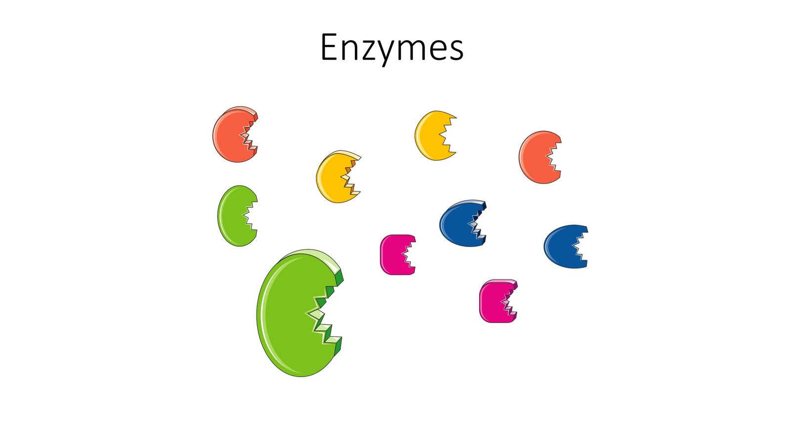 The Science Behind Enzyme Action (image credits: wikimedia)