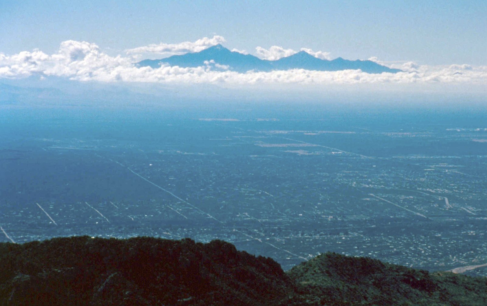 Natural Sky Islands: Earth's High Altitude Wonders (image credits: wikimedia)