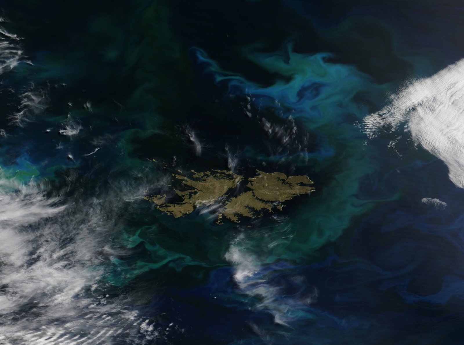 Atmospheric Pressure and Buoyancy (image credits: wikimedia)