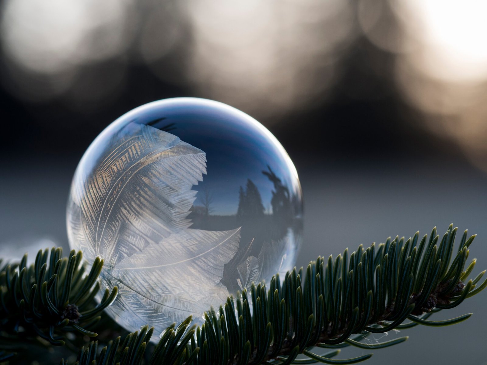 The Concept of Negative Temperature (image credits: wikimedia)