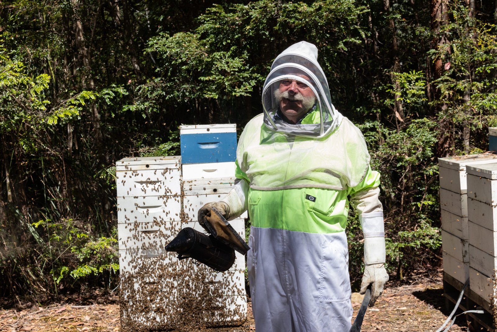 The Role of Beekeepers: Guardians of the Hive (image credits: wikimedia)