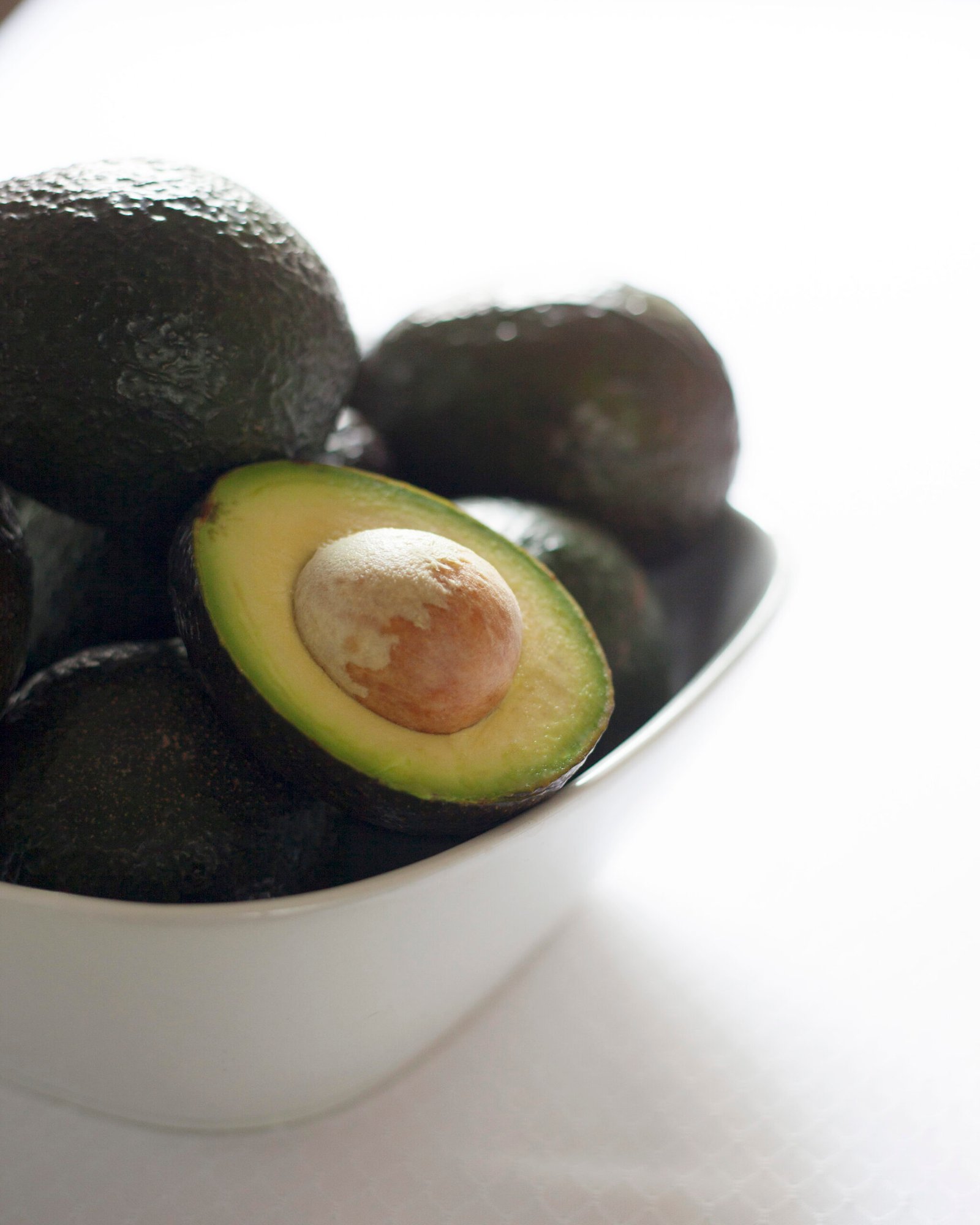 The Curious Case of the Avocado (image credits: wikimedia)