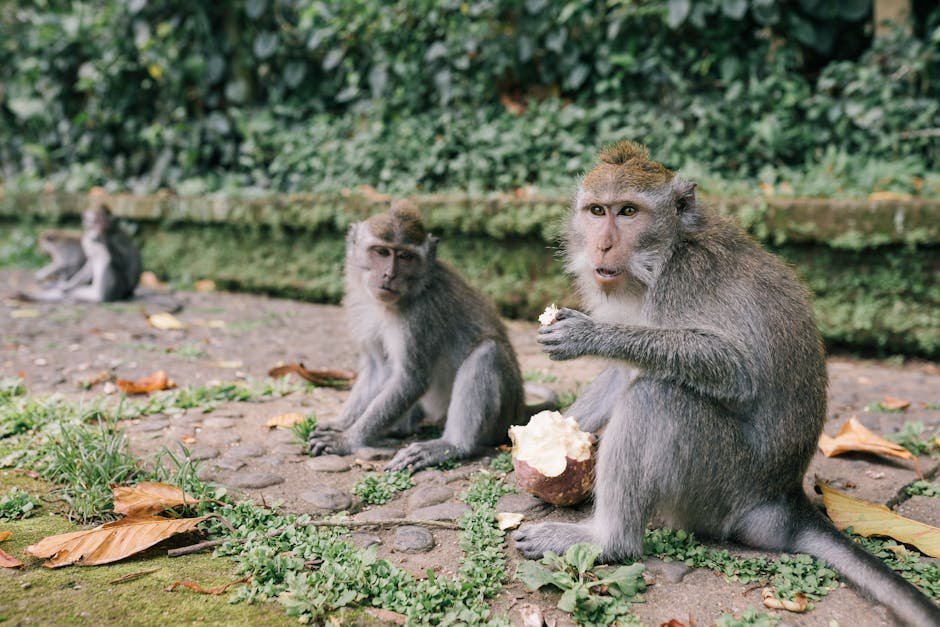 A Call to Action for Responsible Tourism (image credits: pexels)