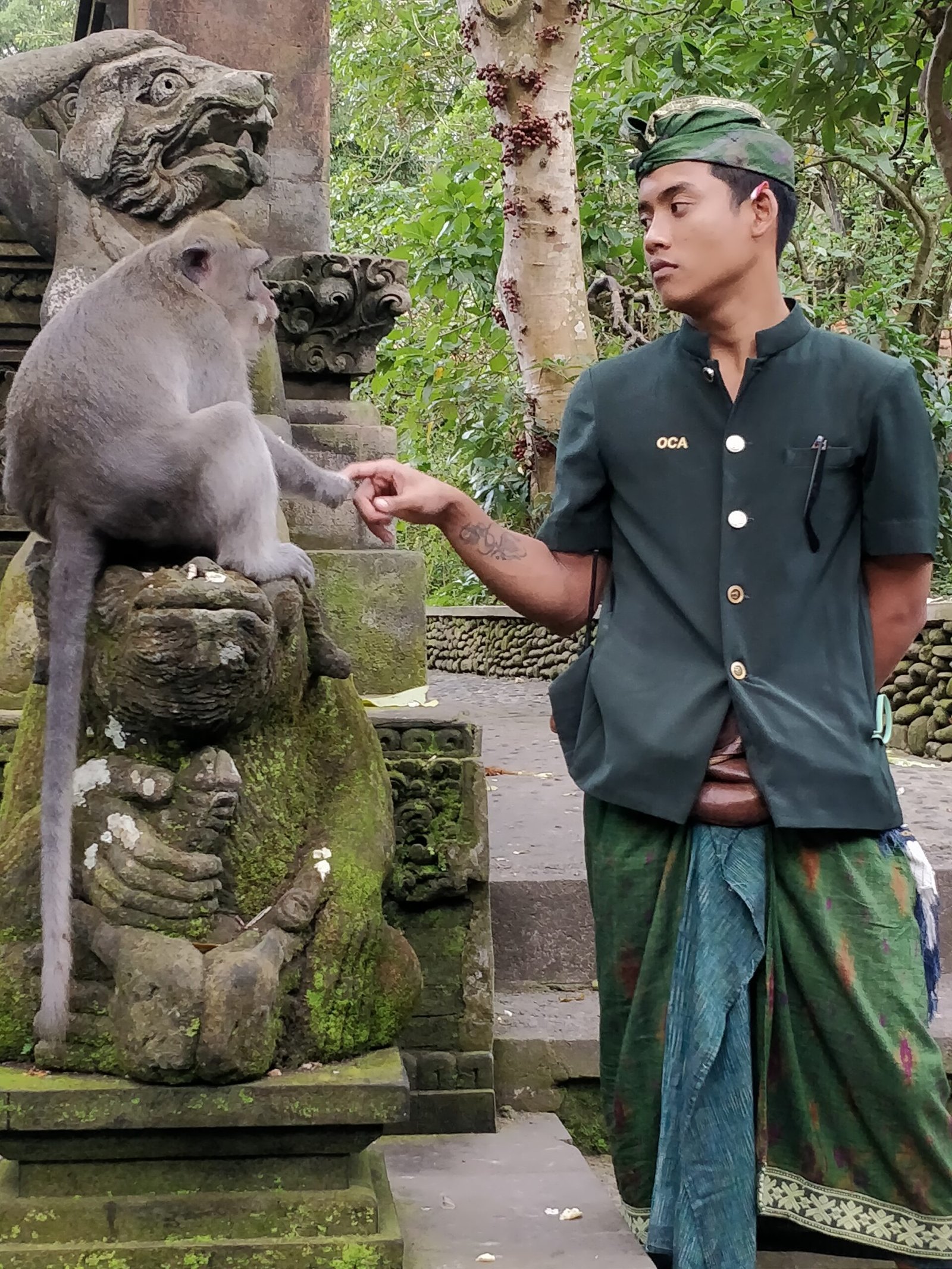 The Future of Monkey-Human Interactions (image credits: wikimedia)