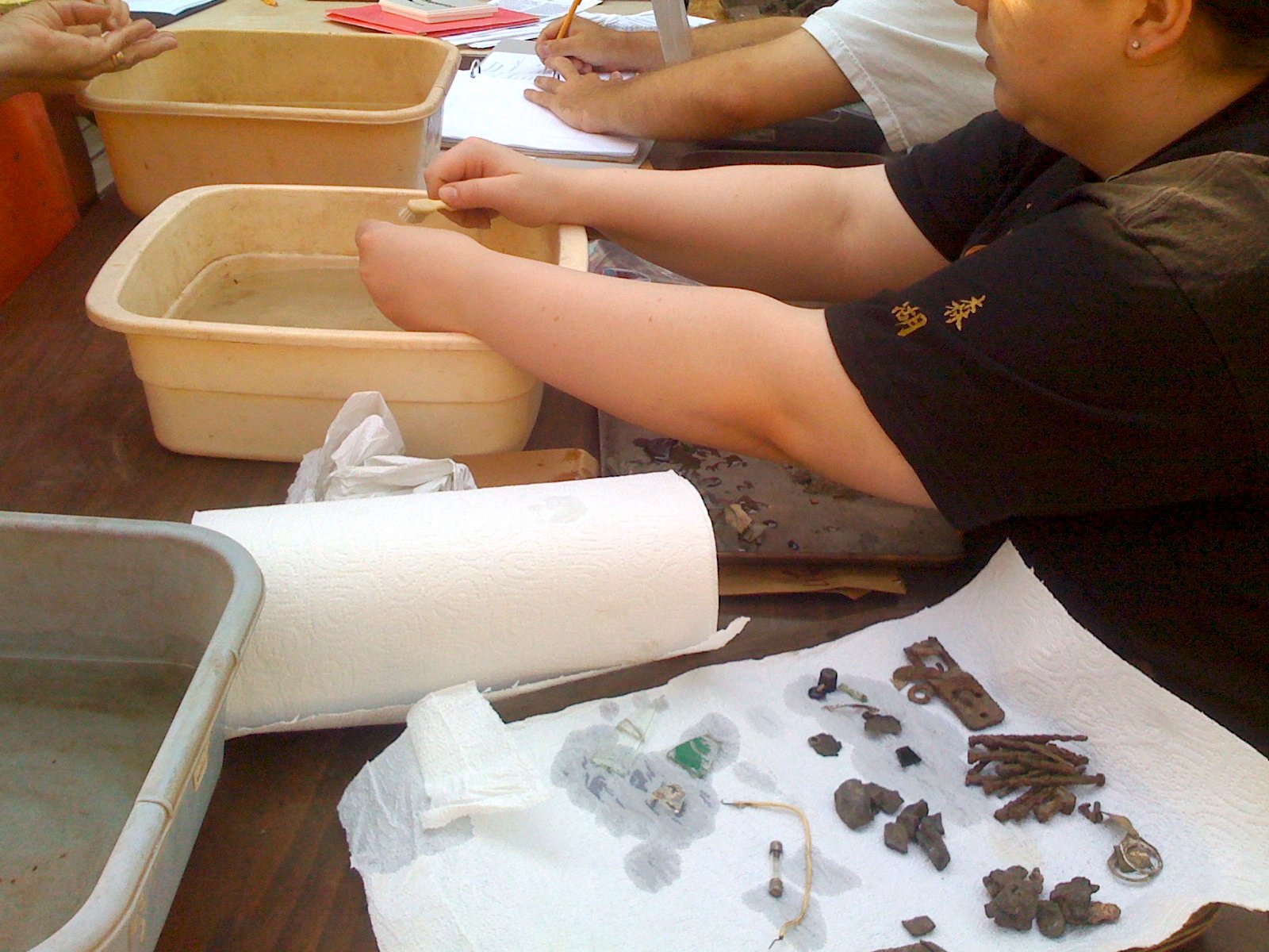 Preservation Efforts in the Modern Era (image credits: wikimedia)