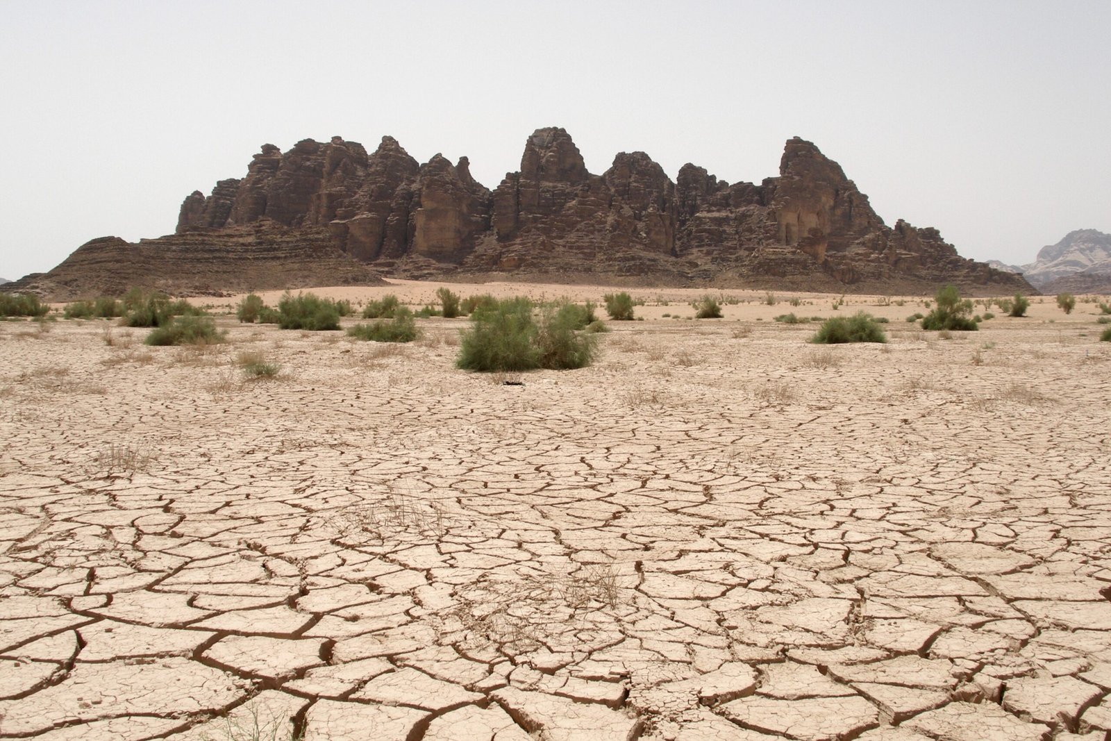 The Role of Climate Change (image credits: wikimedia)