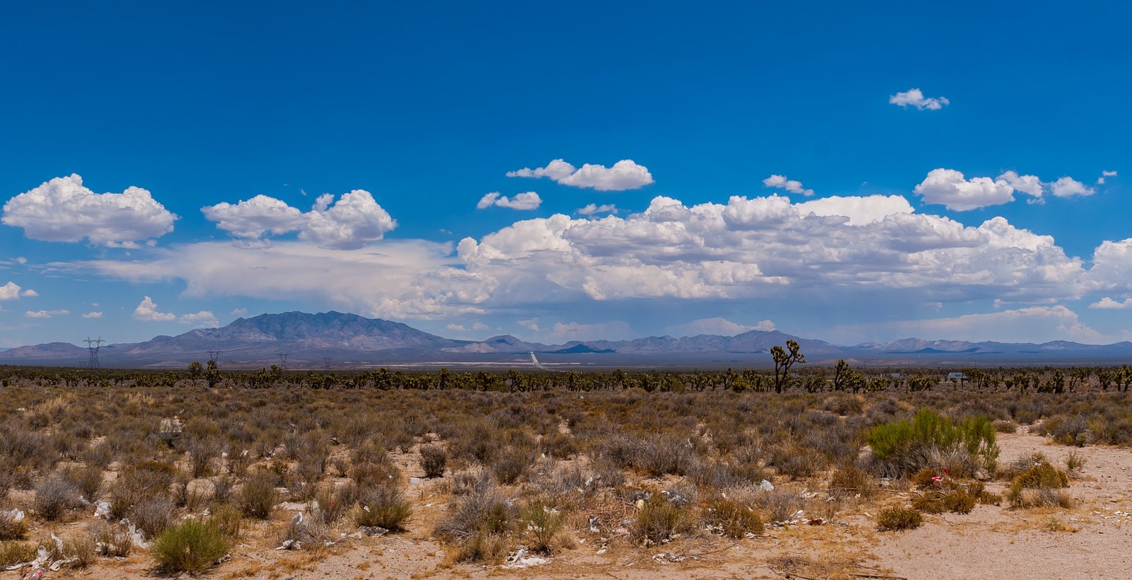 Human Influence on the Desert's Transformation (image credits: wikimedia)