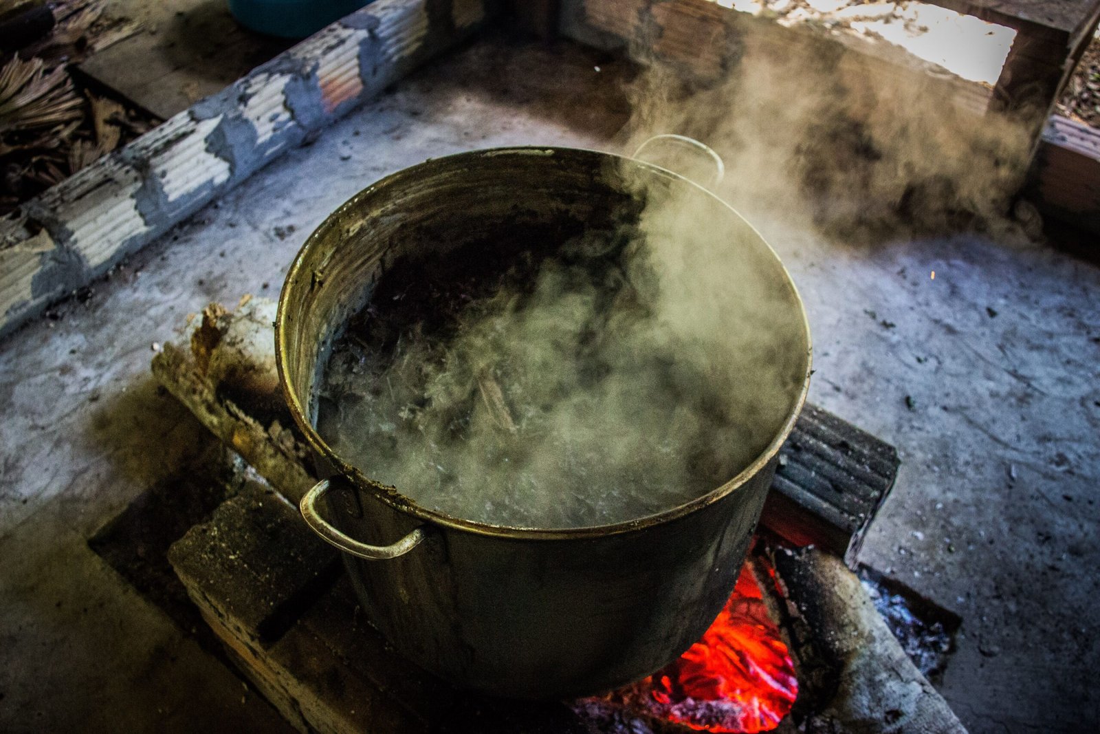 What is Ayahuasca? (image credits: wikimedia)