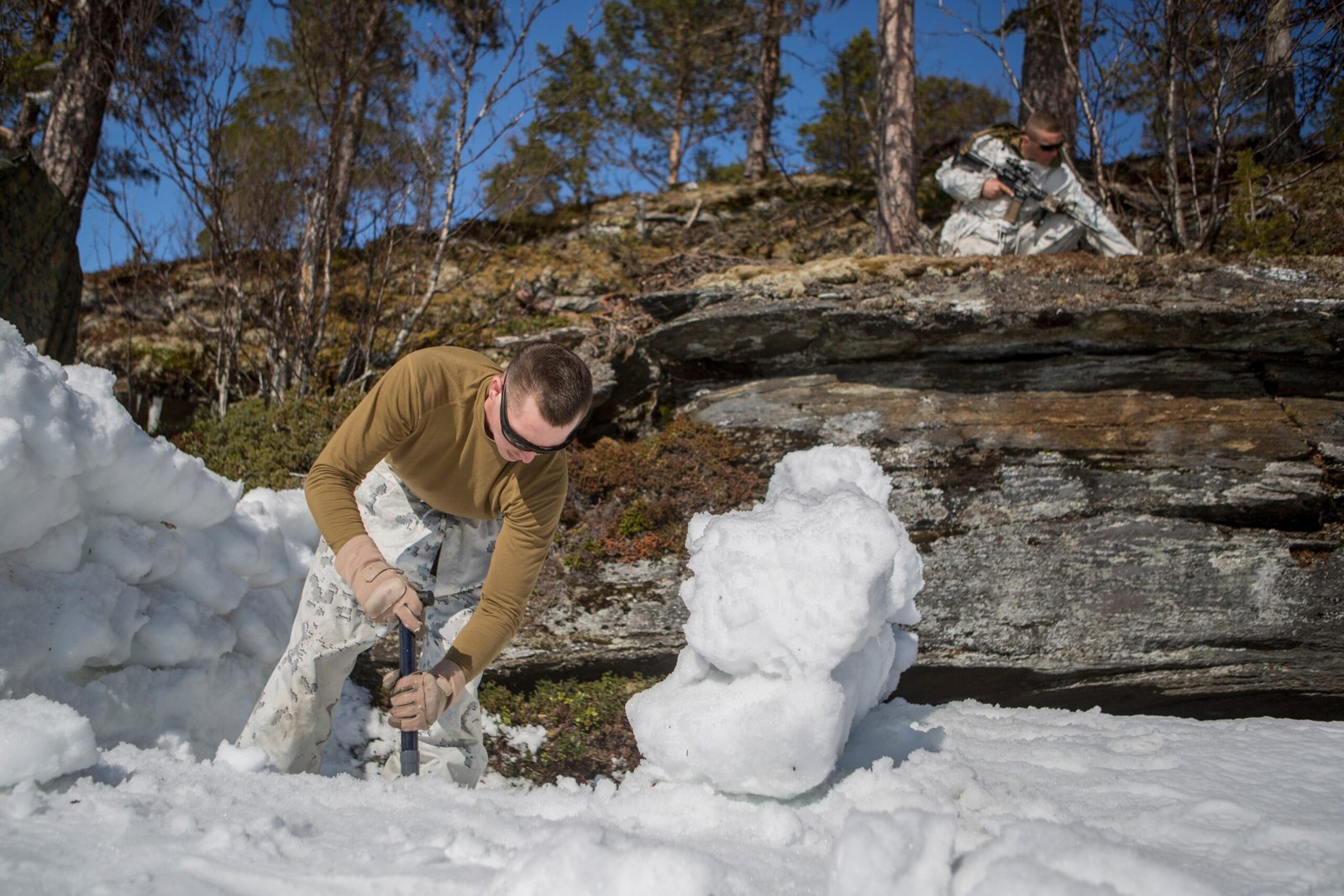 The Future of Hypothermia Treatment (image credits: wikimedia)