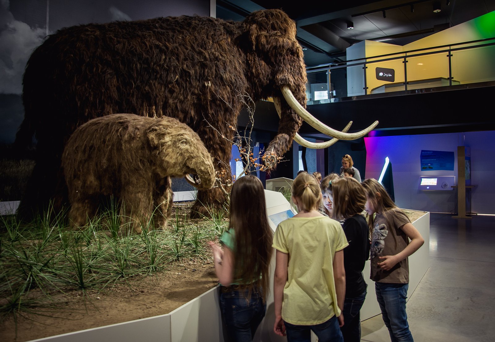 The Gigantic Mammoth: Icons of the Ice Age (image credits: wikimedia)