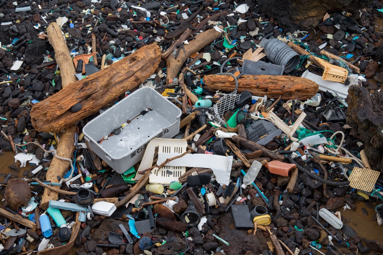 The Birth of the Great Pacific Garbage Patch (image credits: wikimedia)