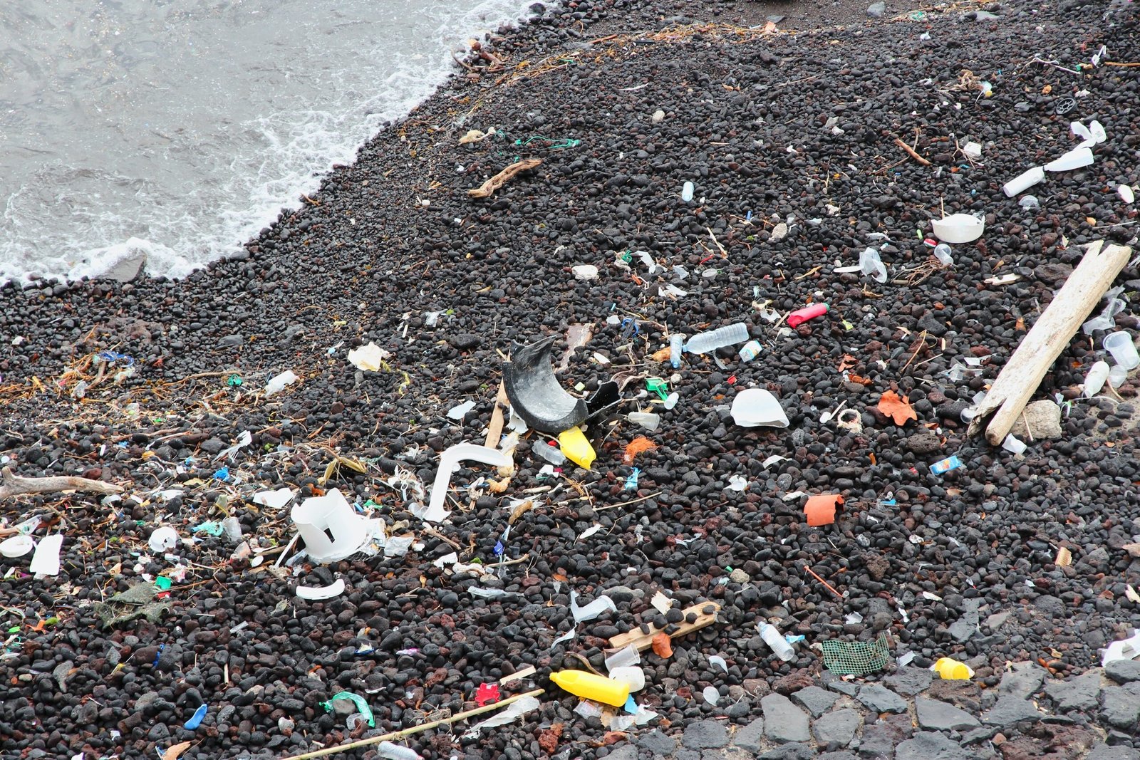 Human Contributions to the Problem (image credits: wikimedia)