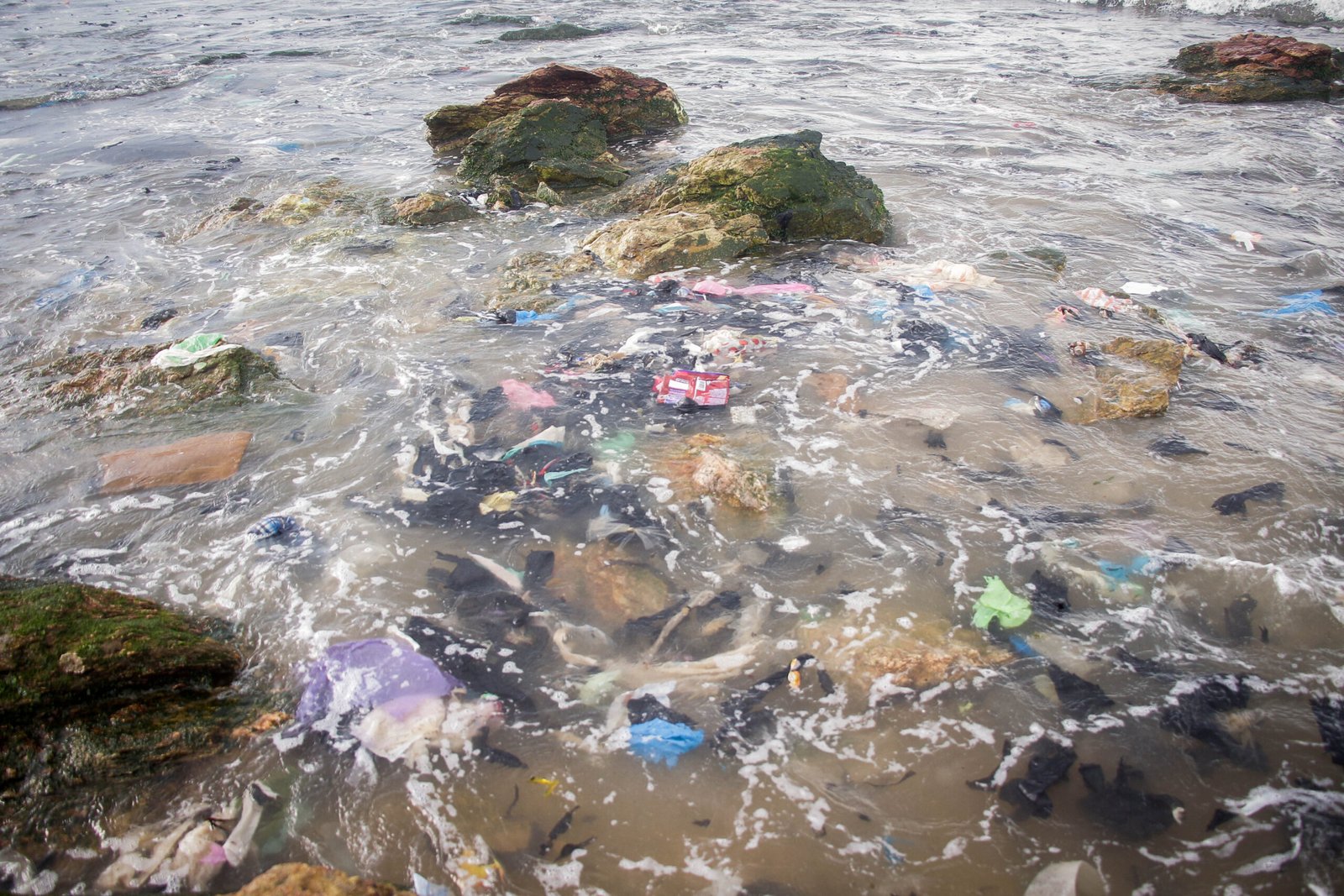 The Future of Our Oceans (image credits: wikimedia)