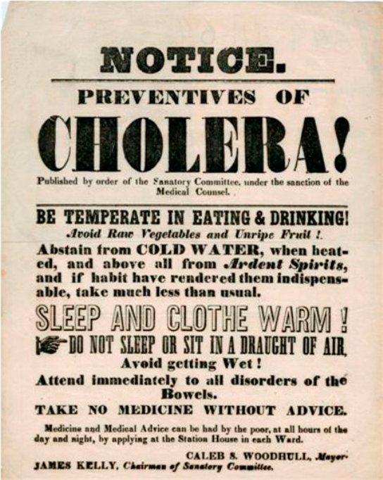 Cholera and Genetic Adaptations (image credits: wikimedia)