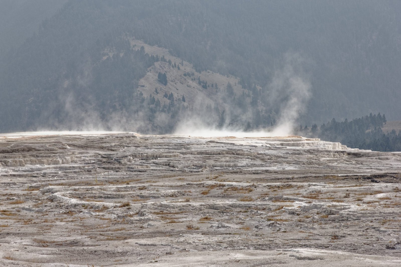 The Global Fascination and Tourism Boom (image credits: wikimedia)