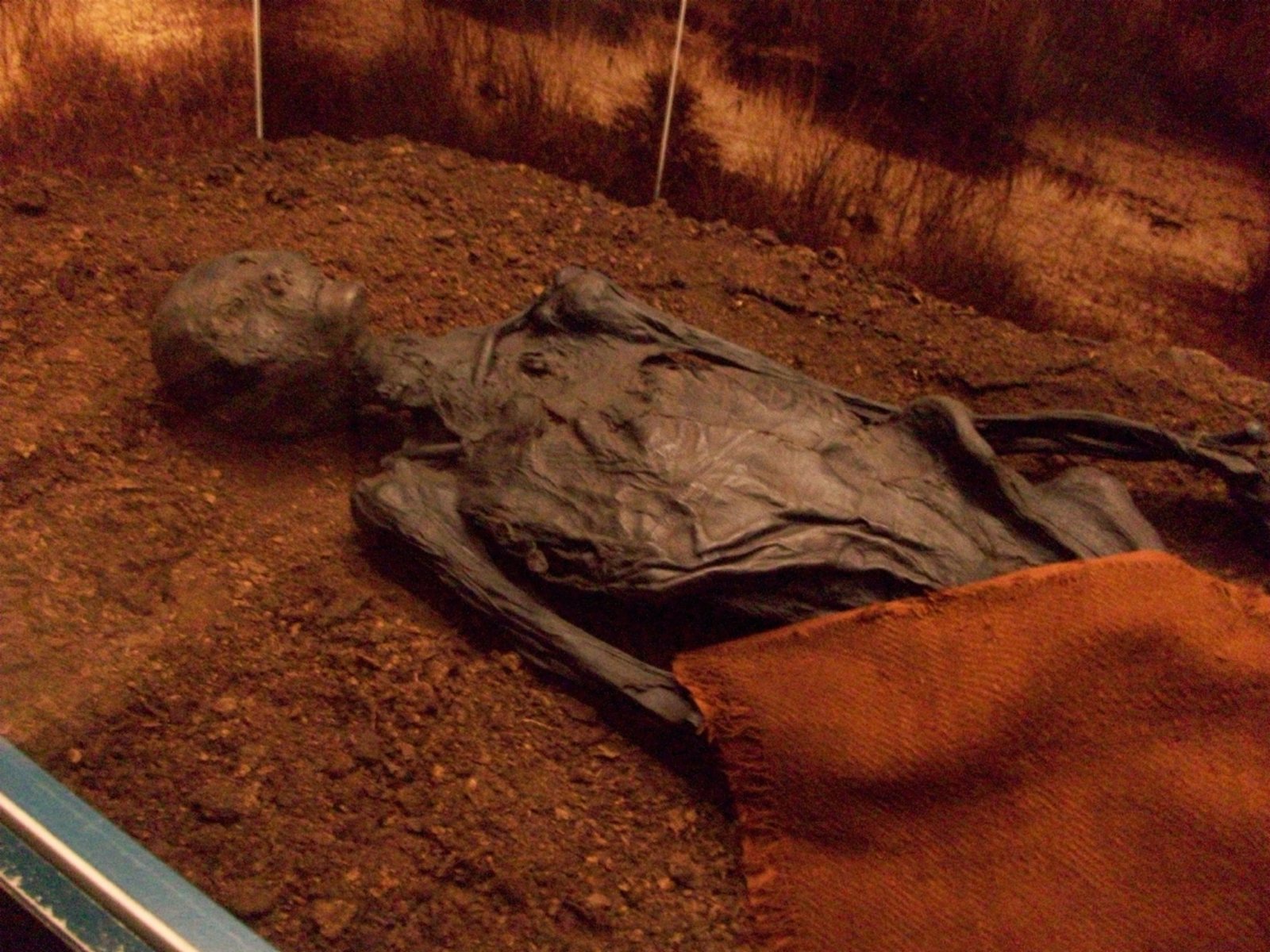 What Bog Bodies Teach Us About Mortality (image credits: wikimedia)