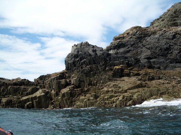 Conservation Efforts (image credits: wikimedia)