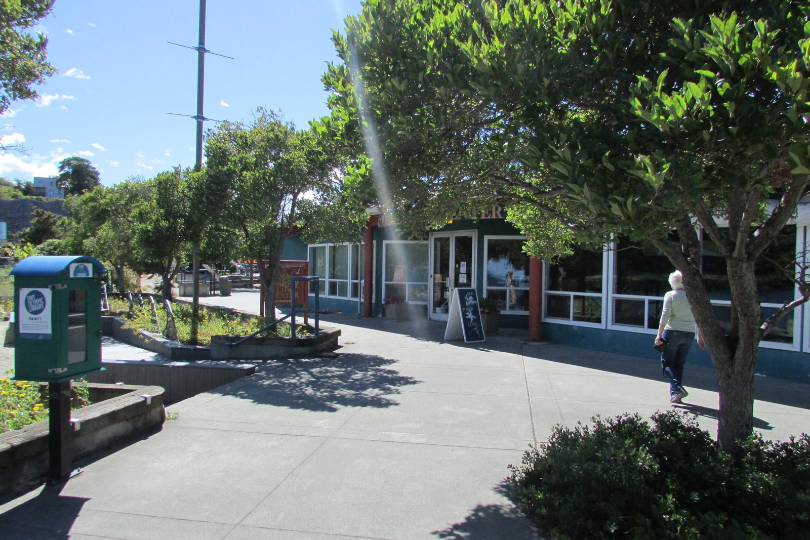 The Importance of Conserving Marine Biodiversity (image credits: wikimedia)