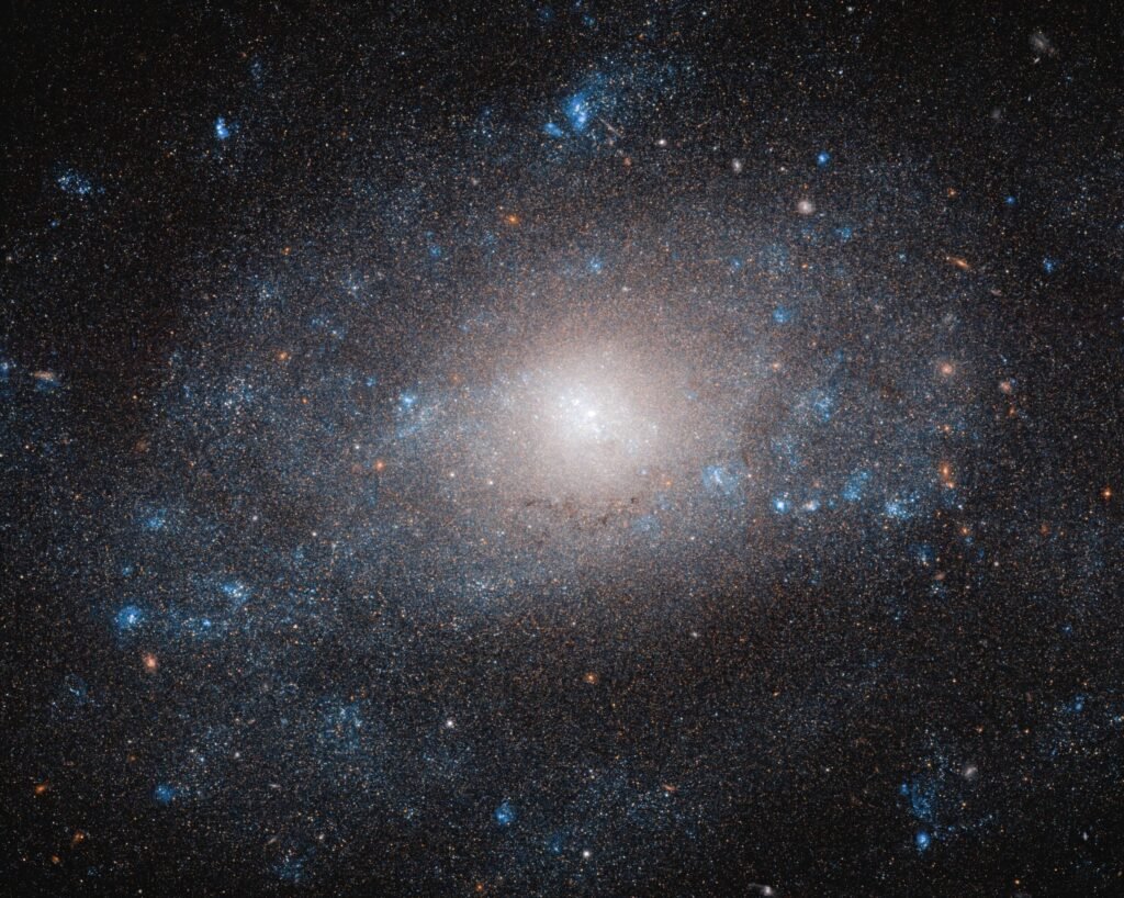 The Role of Dark Matter in Galaxy Formation