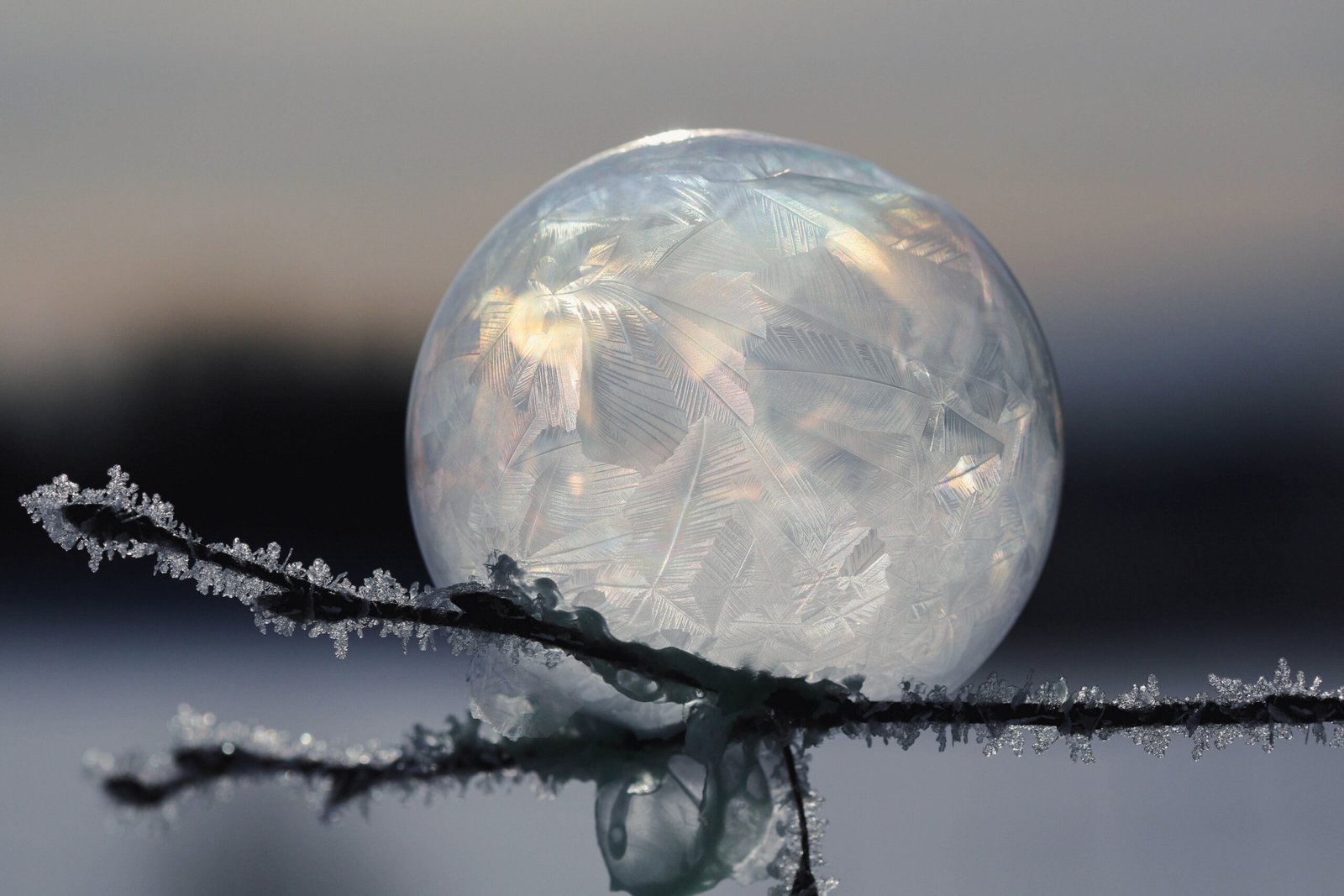 How Scientists Achieved Light Freezing (image credits: wikimedia)