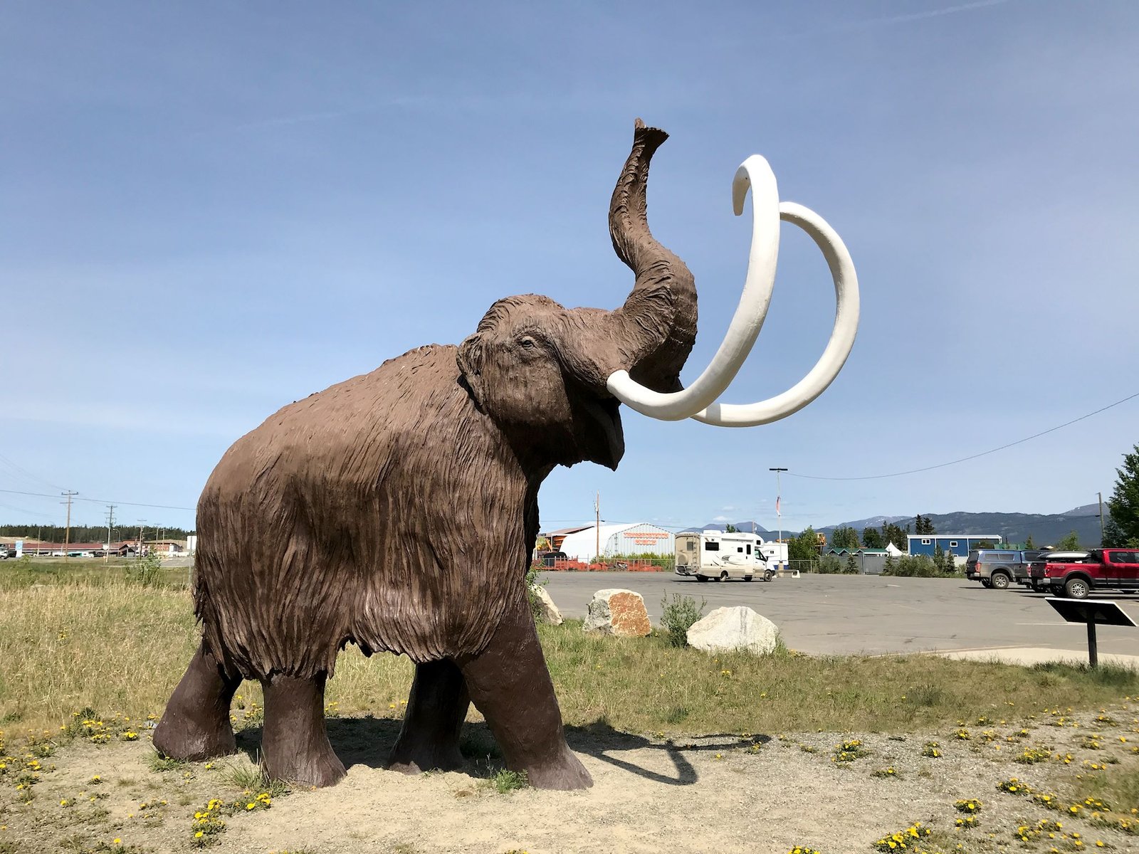 The Majestic Mammoths: Giants of the Ice Age (image credits: wikimedia)