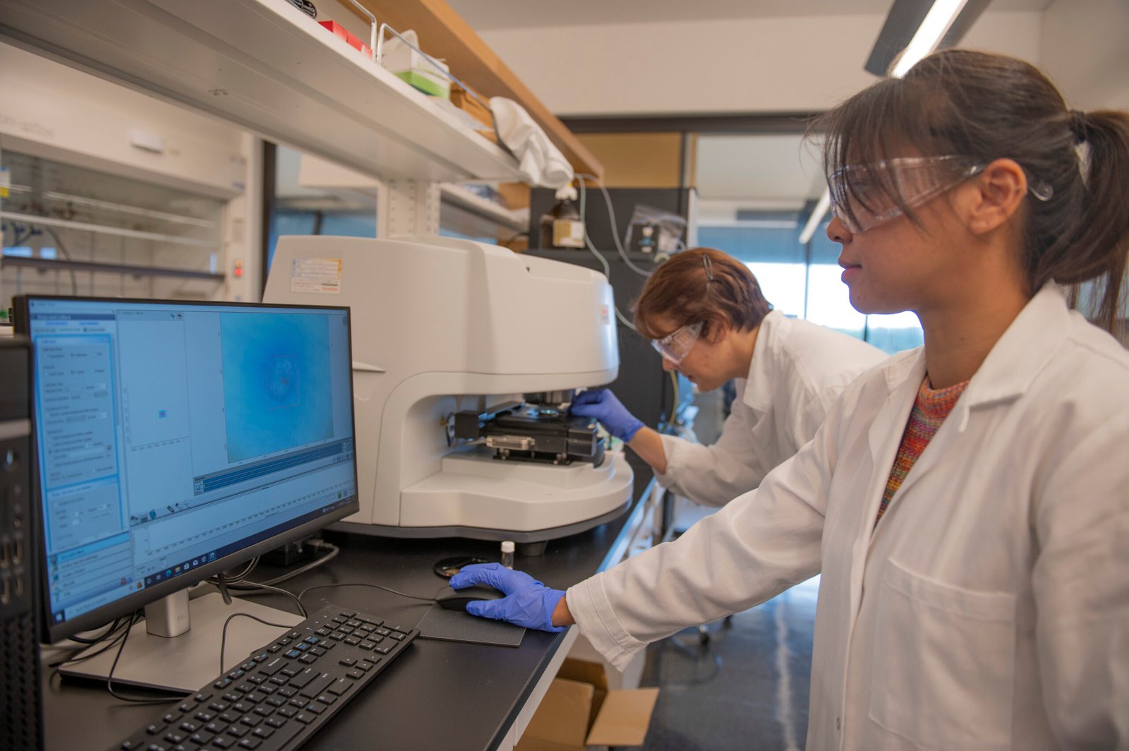 Bringing Giants Back: The Quest for De-Extinction (image credits: wikimedia)