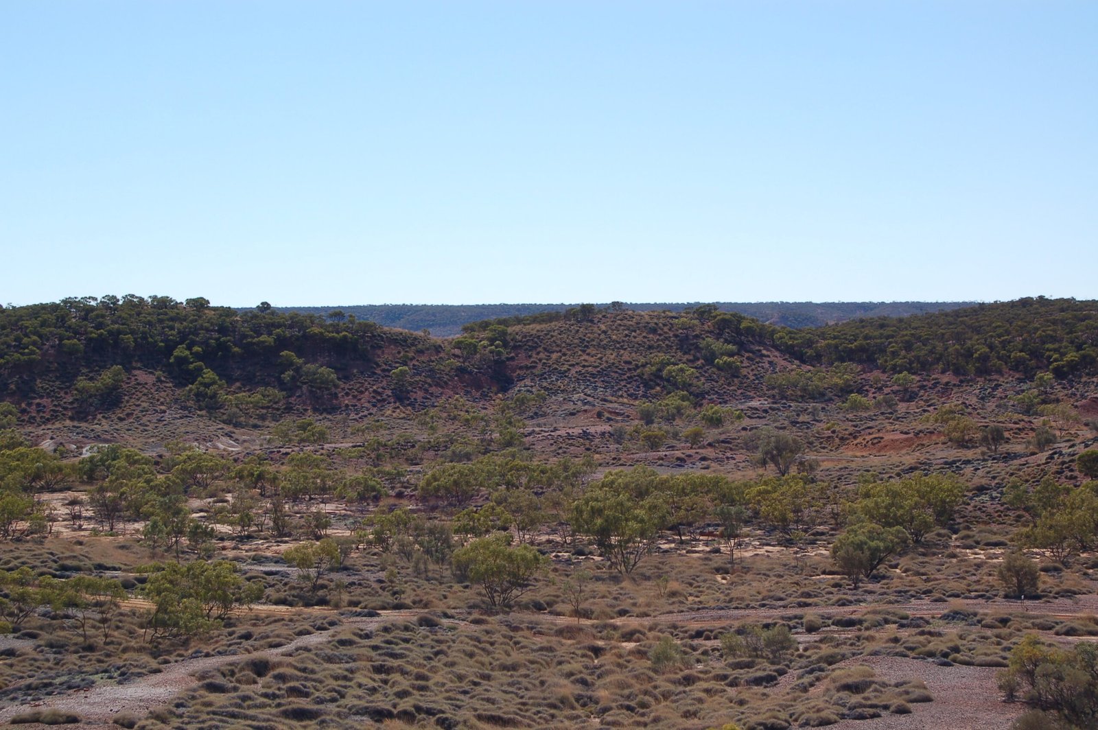 The Significance of Lark Quarry (image credits: wikimedia)
