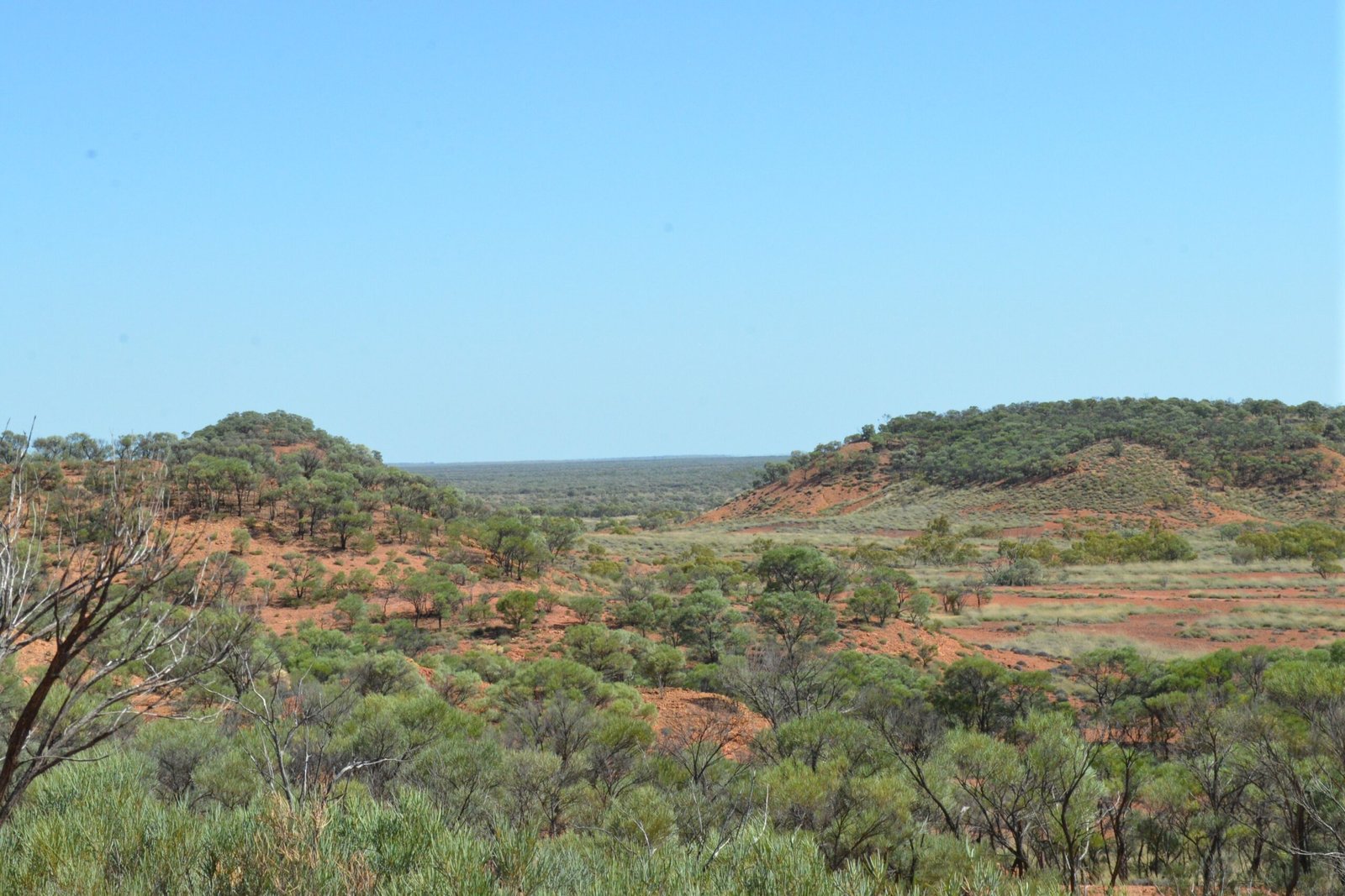 Challenges in Studying the Site (image credits: wikimedia)