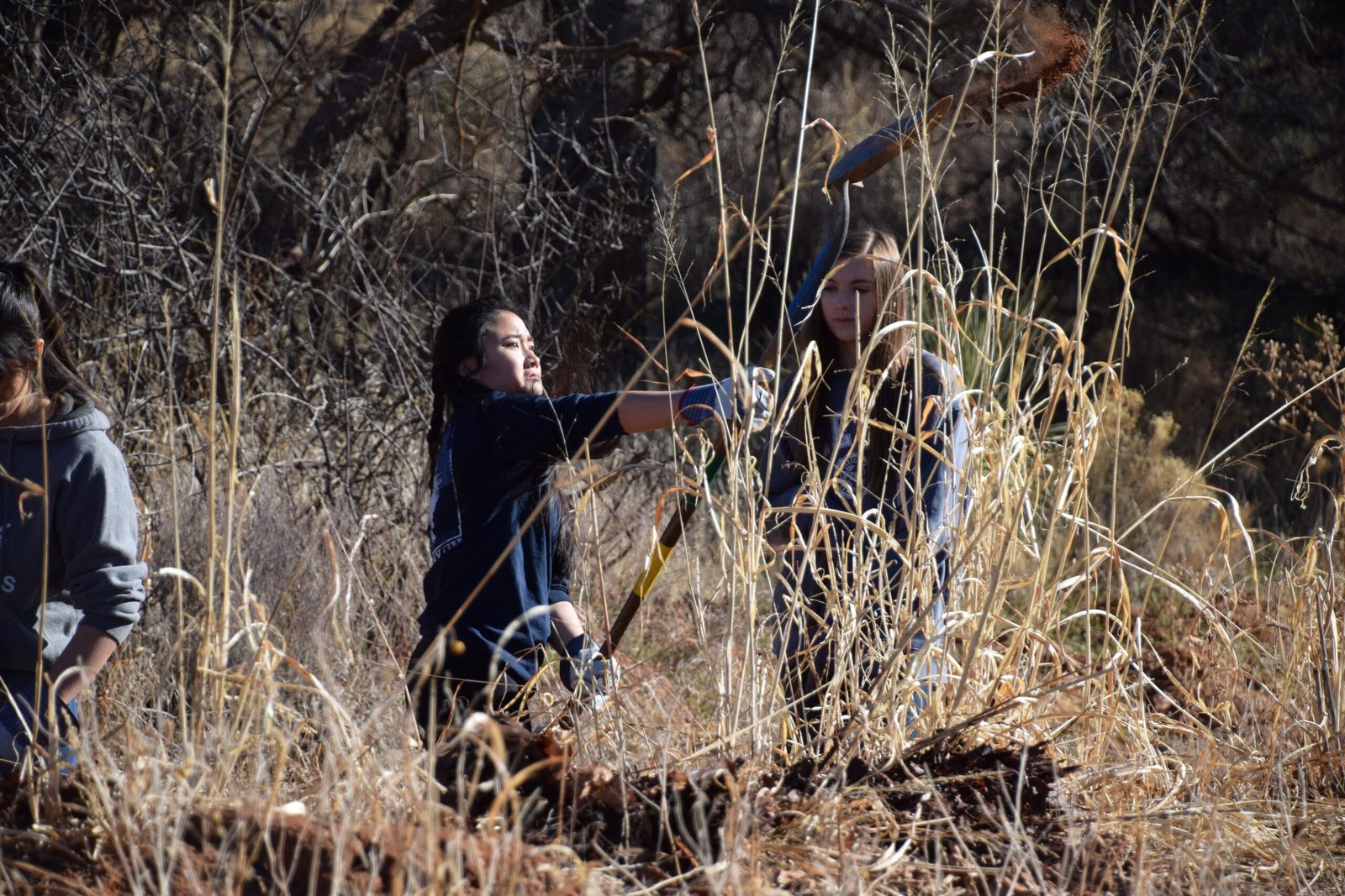 Public Engagement and Education (image credits: wikimedia)