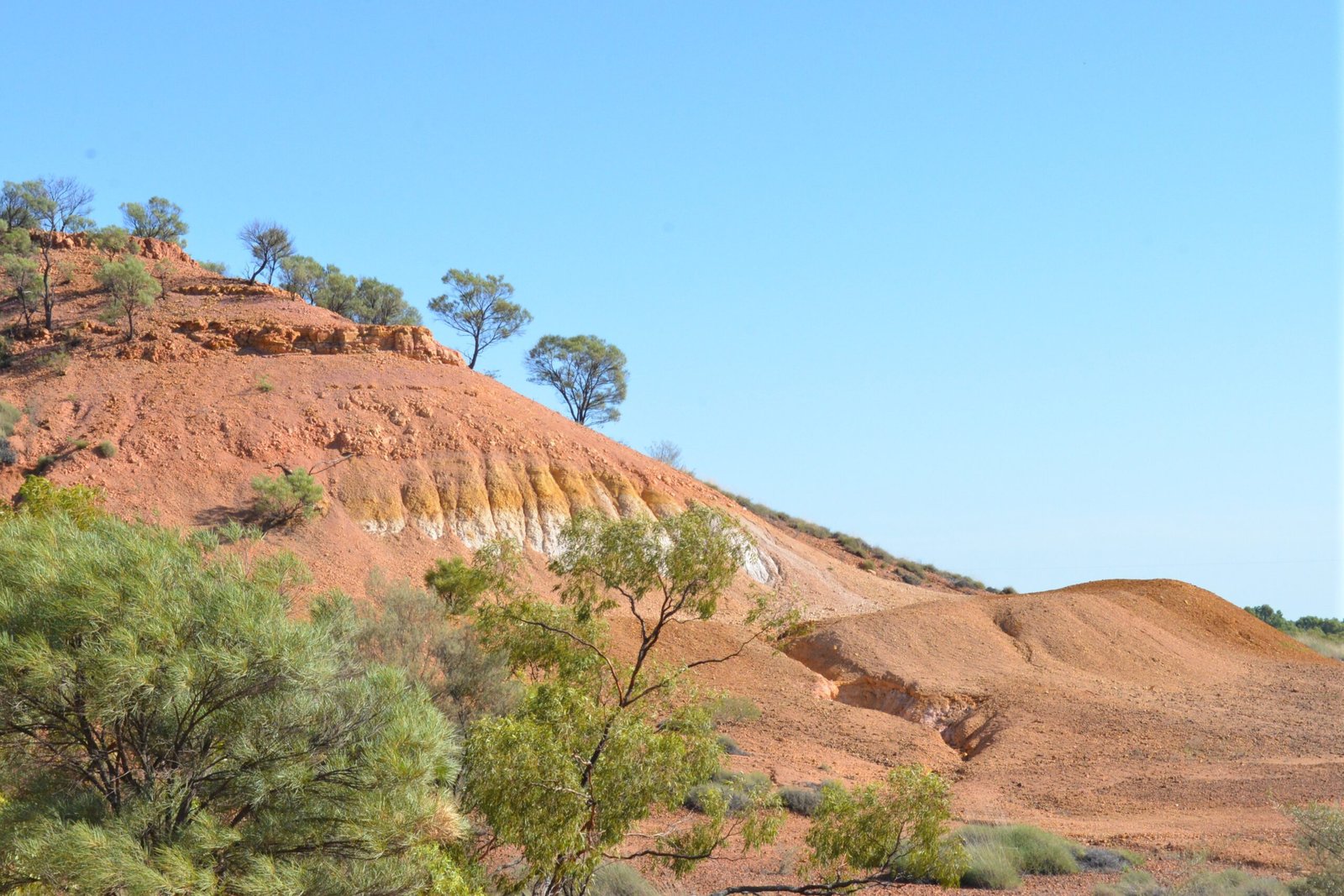 The Legacy of Lark Quarry (image credits: wikimedia)