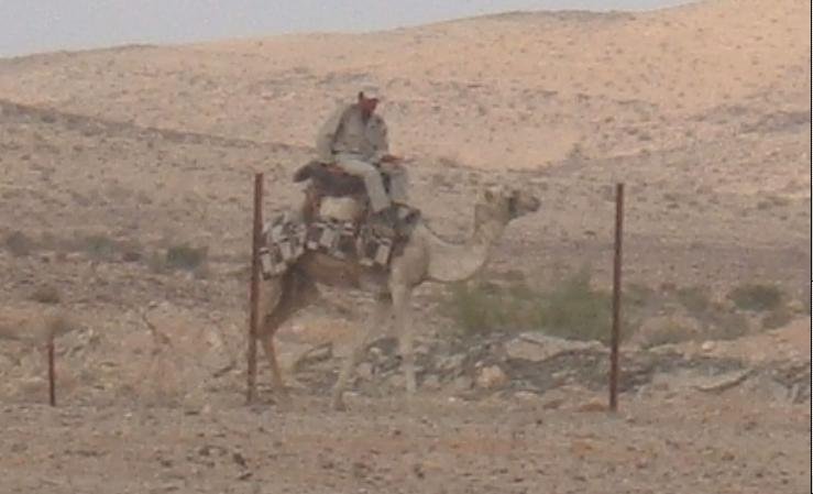 Enduring Mysteries and Speculations (image credits: wikimedia)