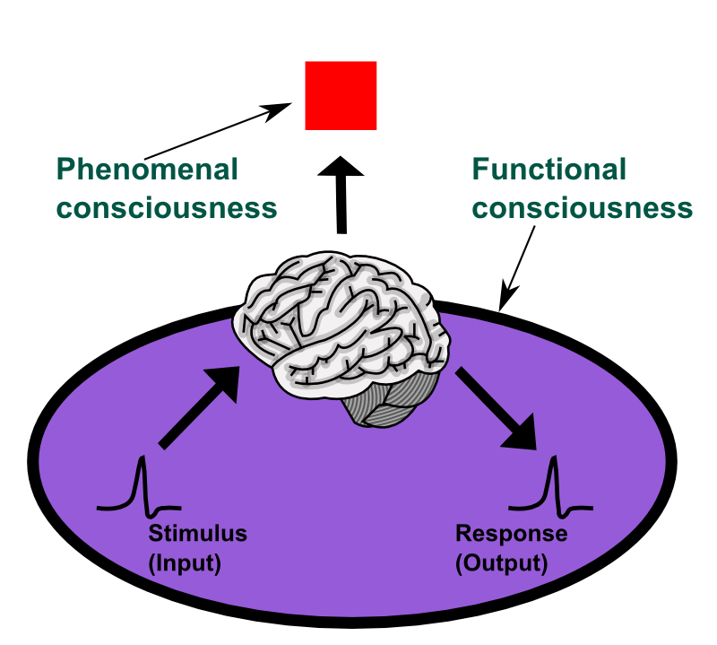 Philosophical Perspectives (image credits: wikimedia)