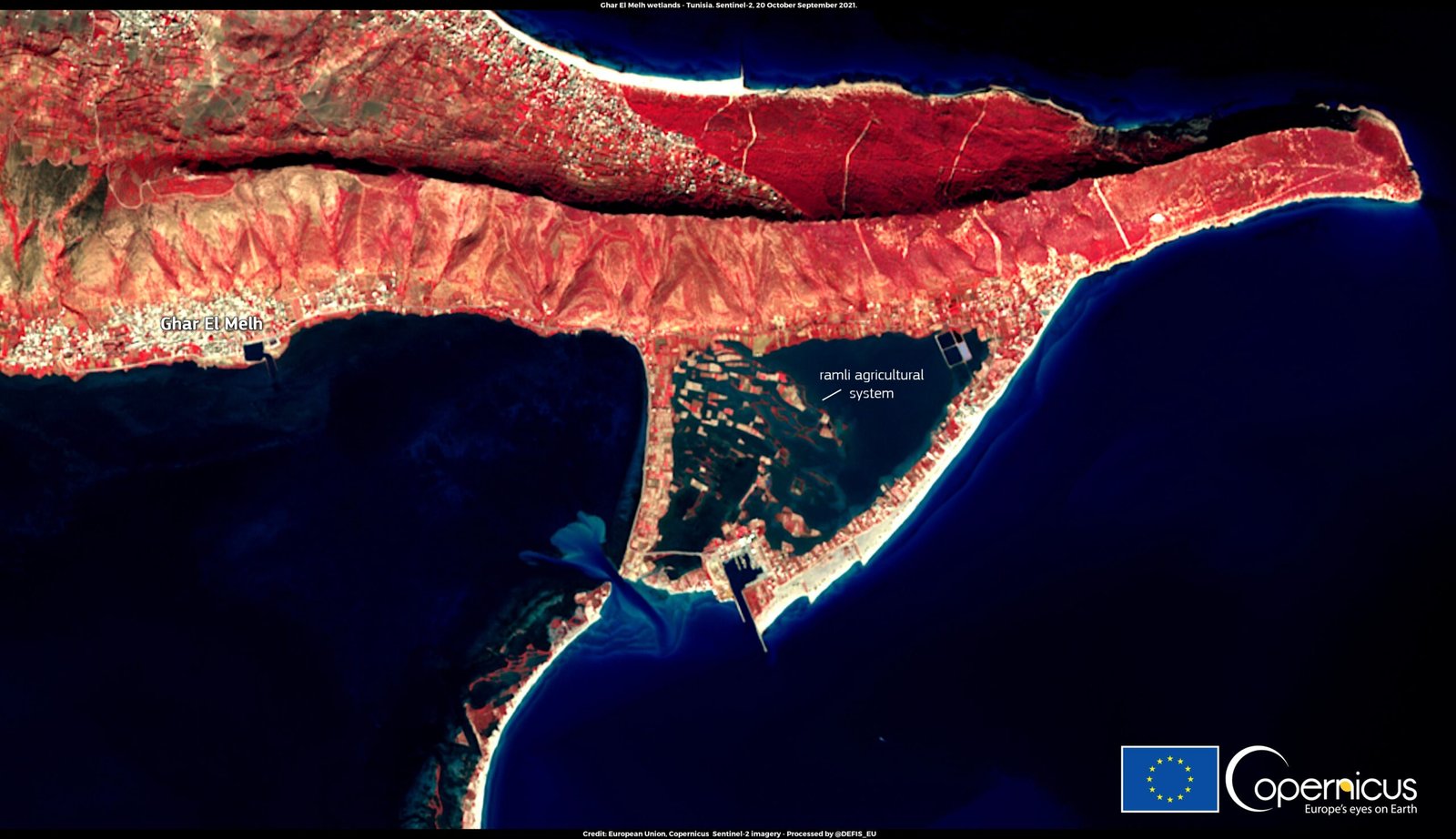The Economic Toll of Heat Waves (image credits: wikimedia)